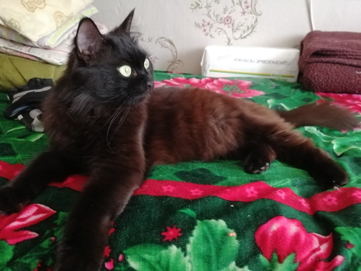 Прилегла отдохнуть