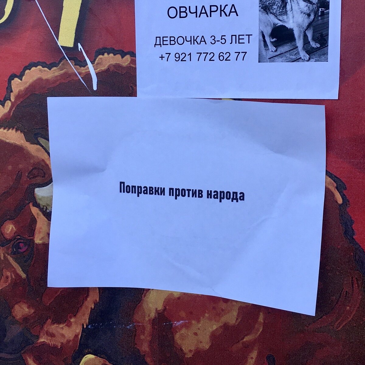 На одном из рекламных плакатов, г. Санкт-Петербург
