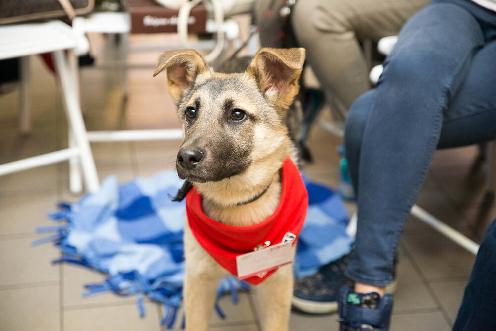 Фото для обложки