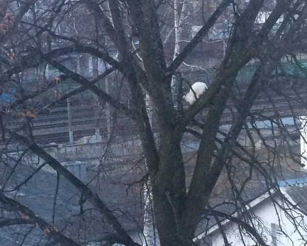 По словам местных жителей, сотрудники МЧС отказались ехать