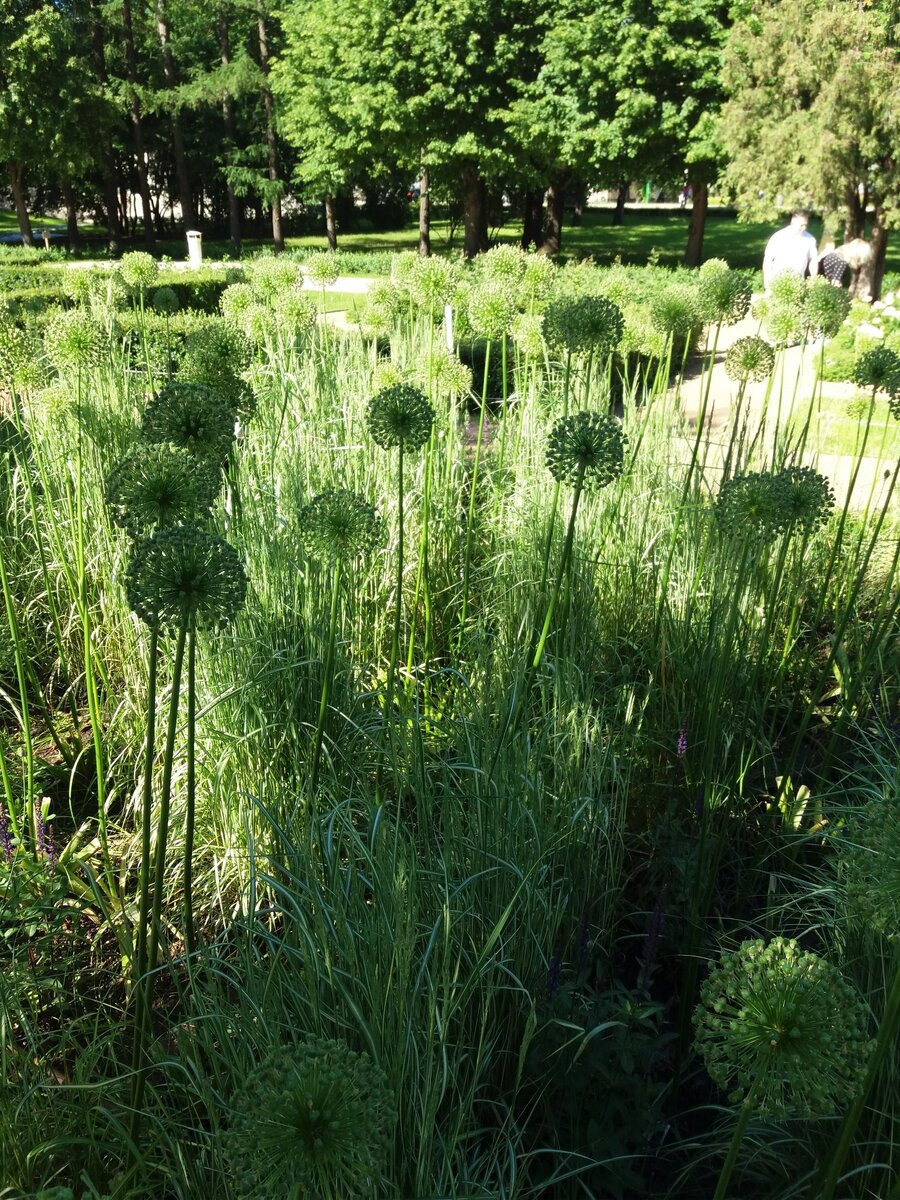 Лето в Москве