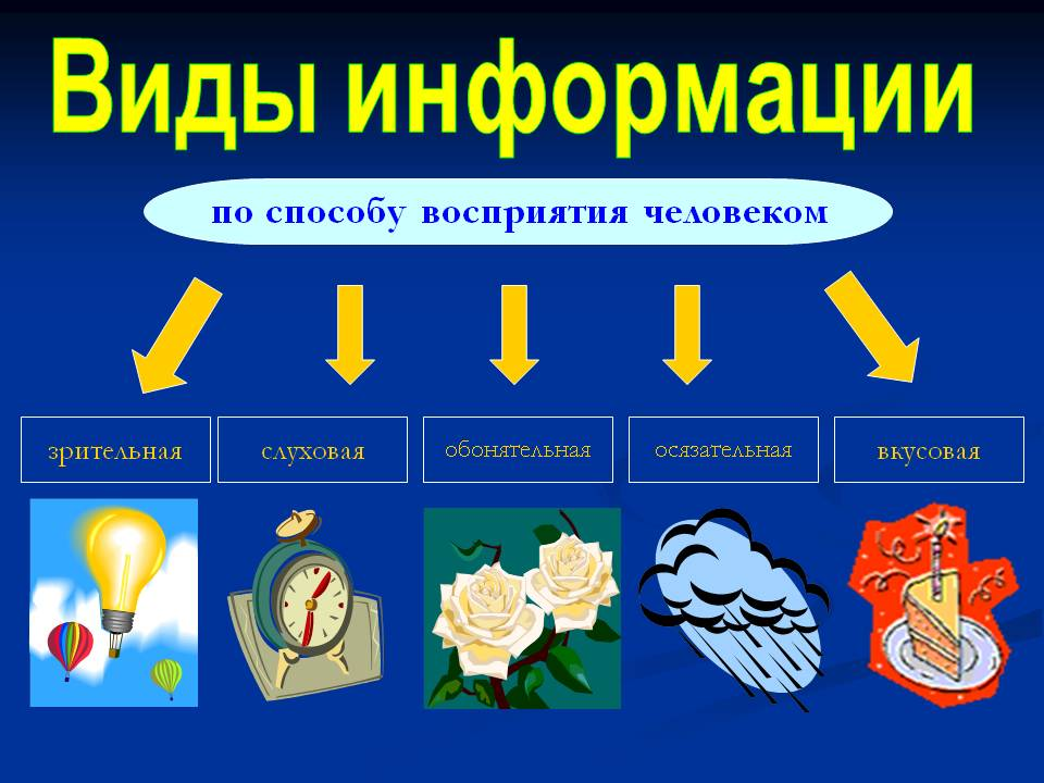 Какая бывает информация. Виды информации. Основные виды информации. Виды информации в информатике. Какие есть виды информации.