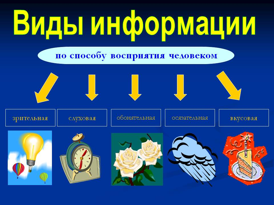 Каким образом можно проиллюстрировать. Виды информации. Основные виды информации. Виды информации в информатике. Какие есть виды информации.