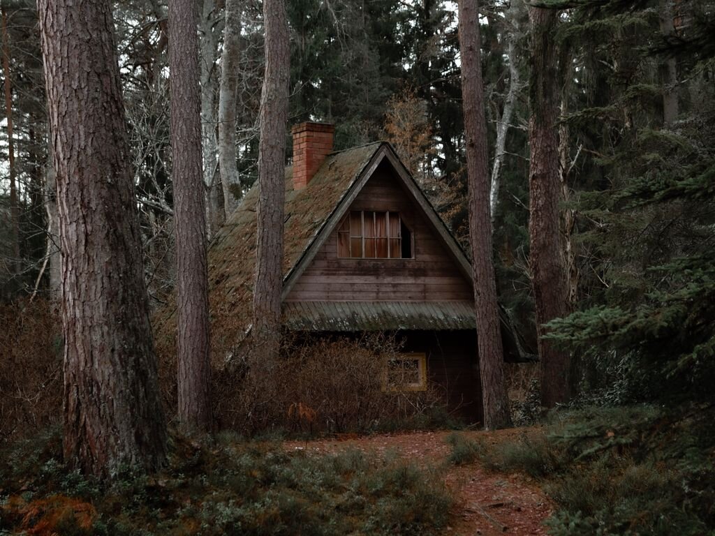 Фото: Wallpaperscrast.ru