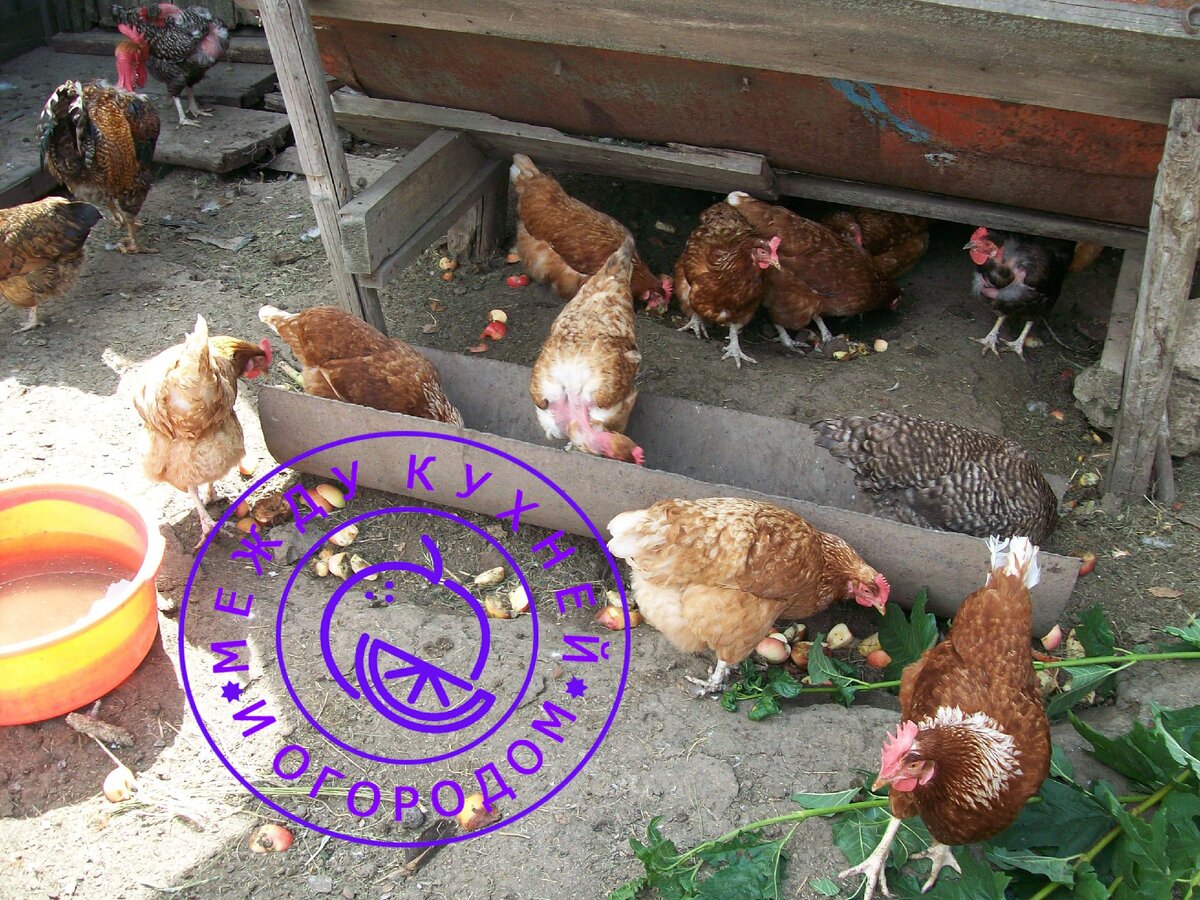 Не забудьте поставить лайк и подписаться на канал!