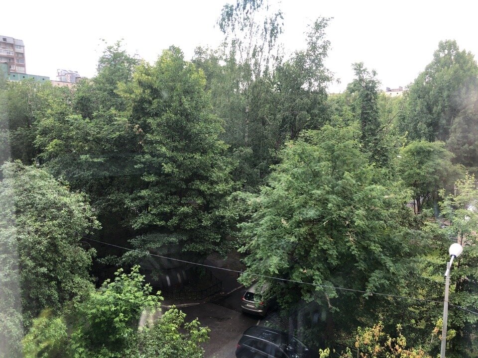 Мой вид из окна во двор