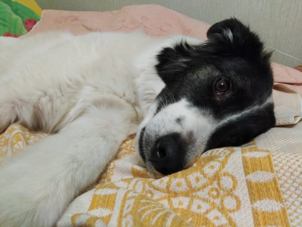 Джордж дома