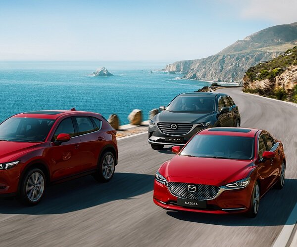 Потрясающе смотрится в любом ландшафте, особенно южном.