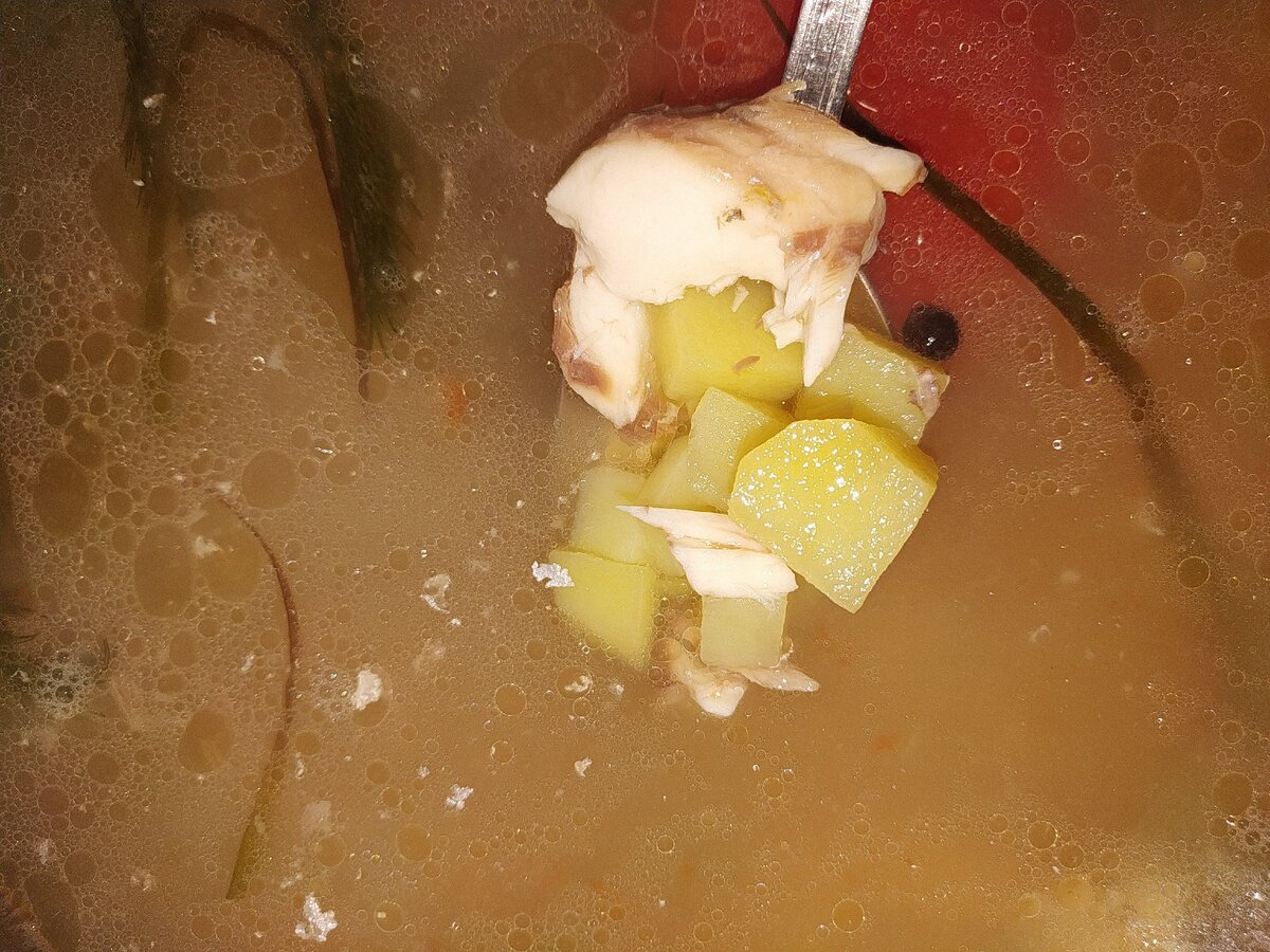 Обалденная уха из дорады