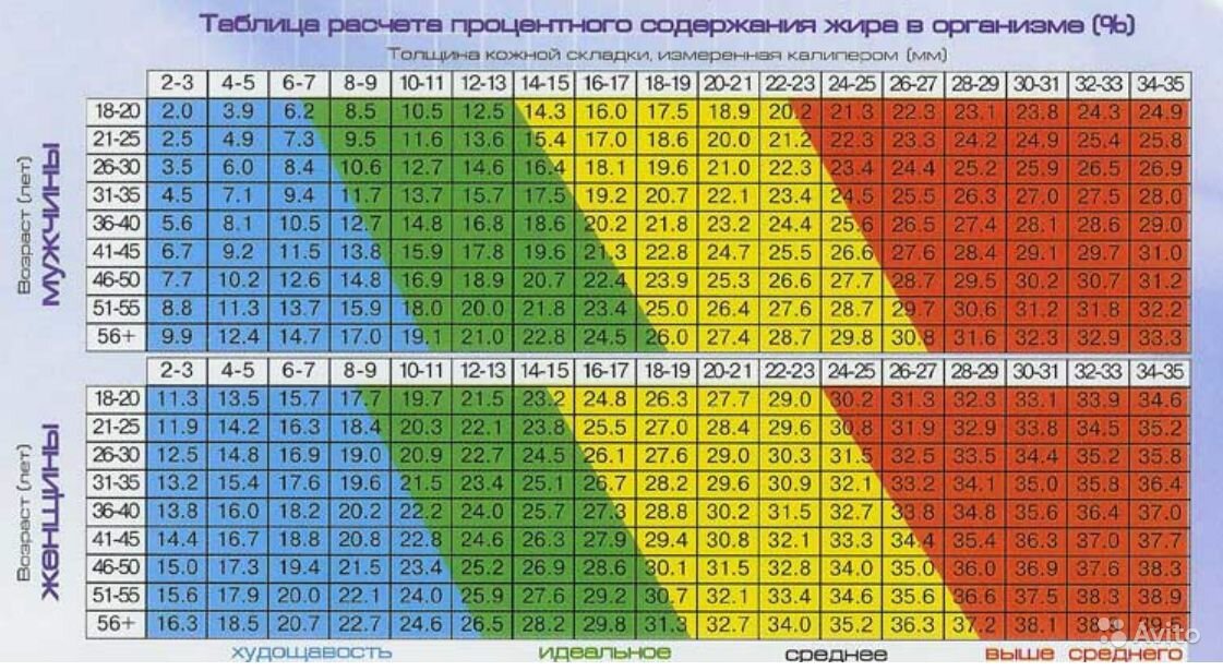 Сколько процент жира в организме