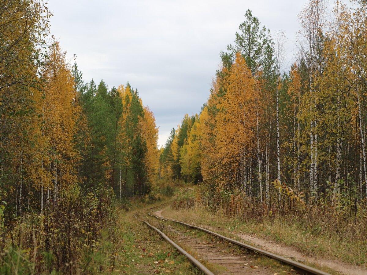 сентябрь 2019