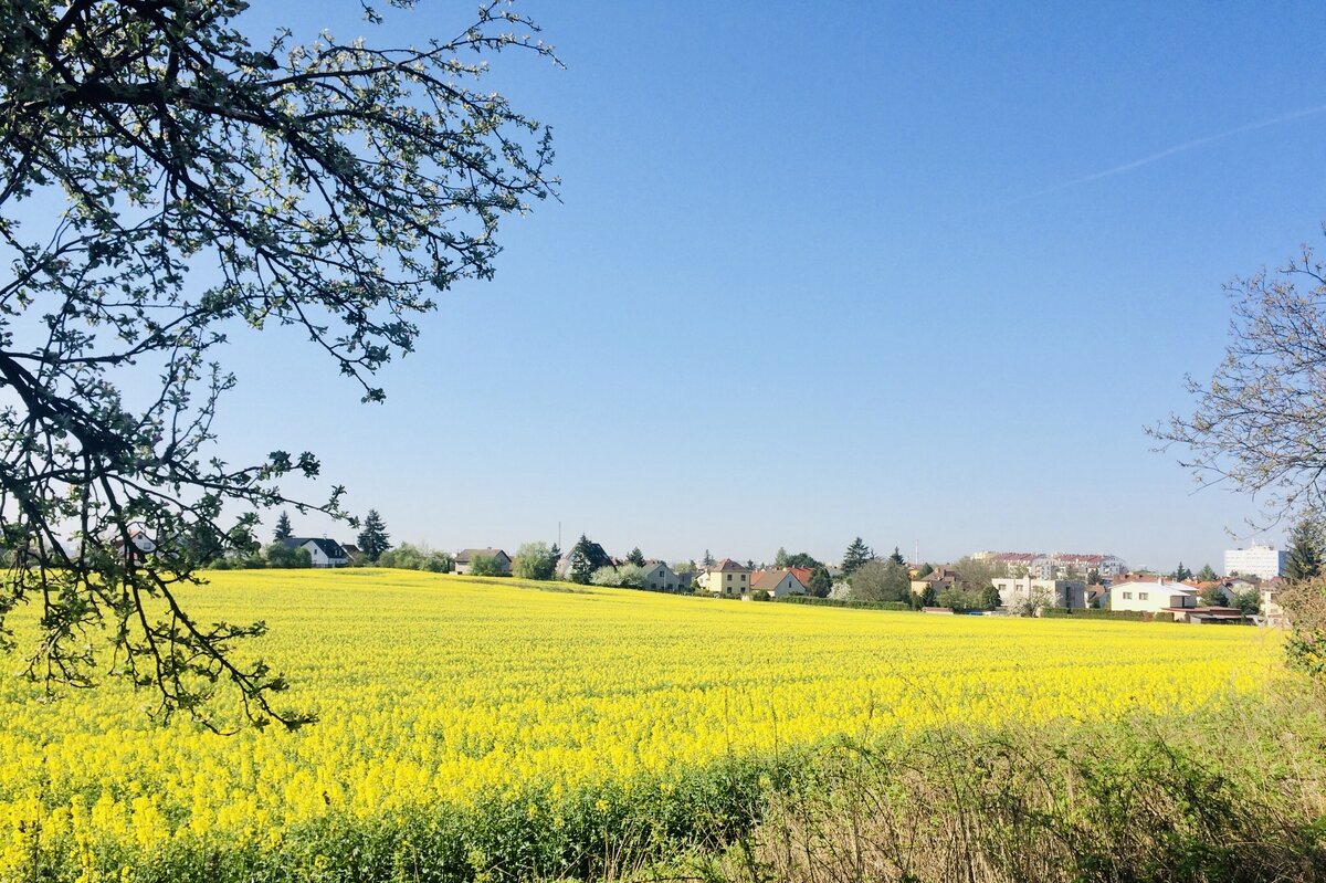 Окраина Праги, станция метро Cerny Most