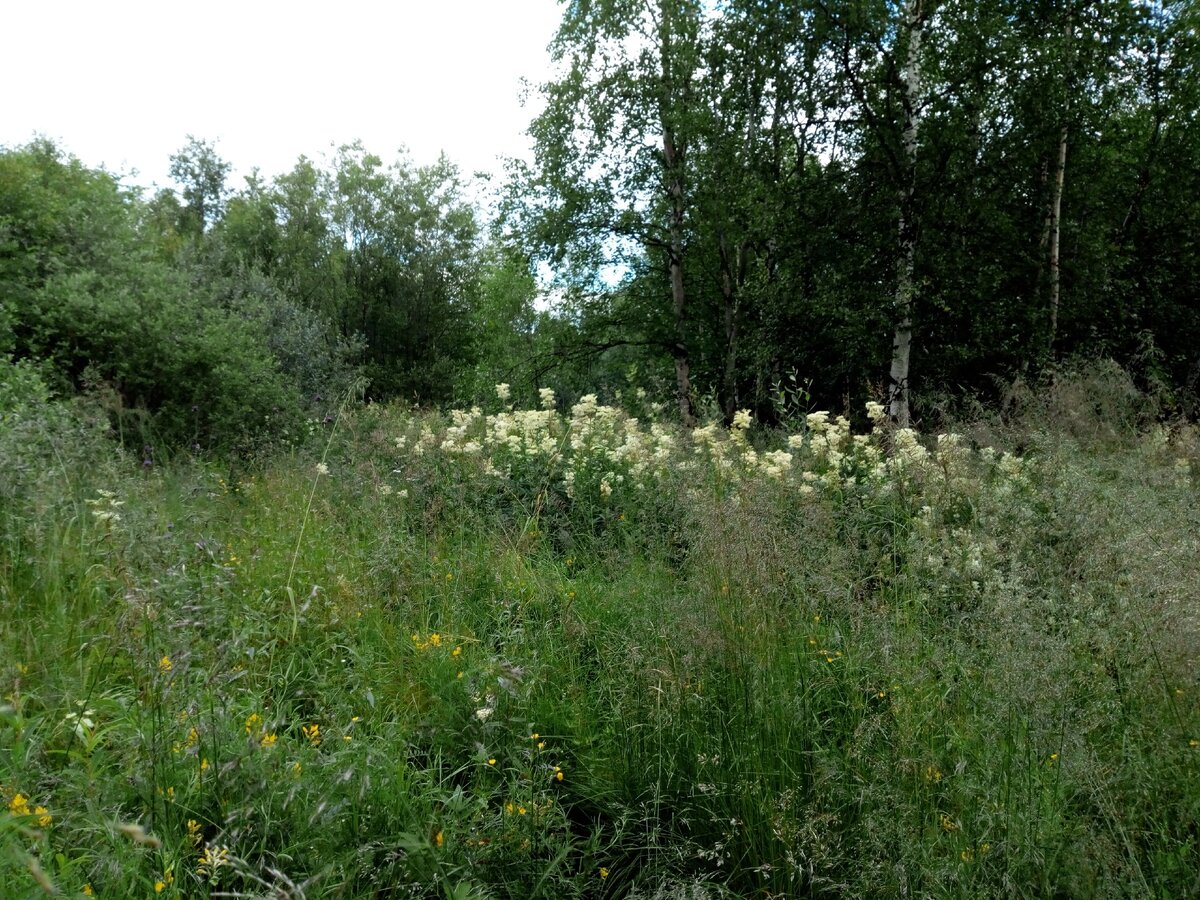 вдали тоже полно