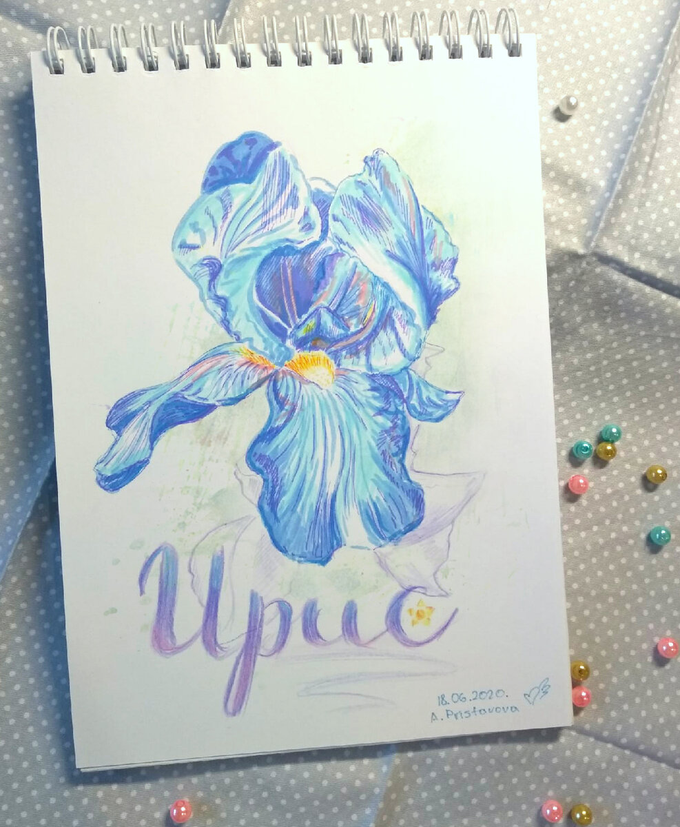 Ирис