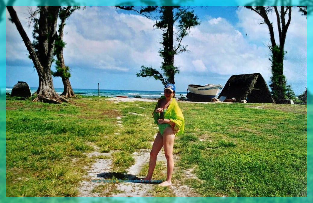 Почти что середина острова Птичий