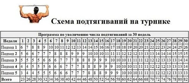 Программа, по которой я занимался