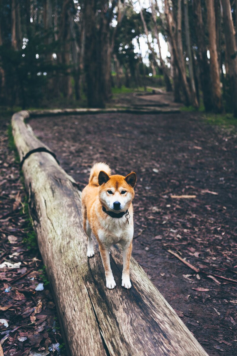 Photo by Christal Yuen on Unsplash