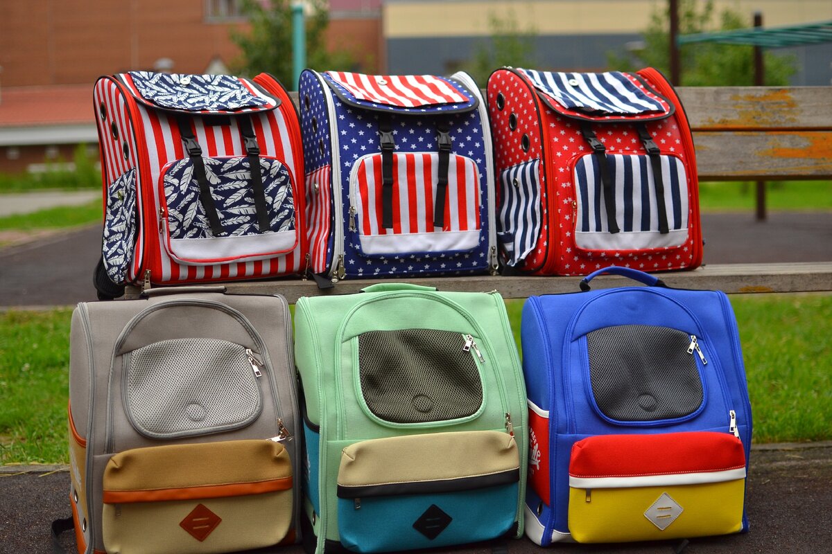 Мои переноски для животных