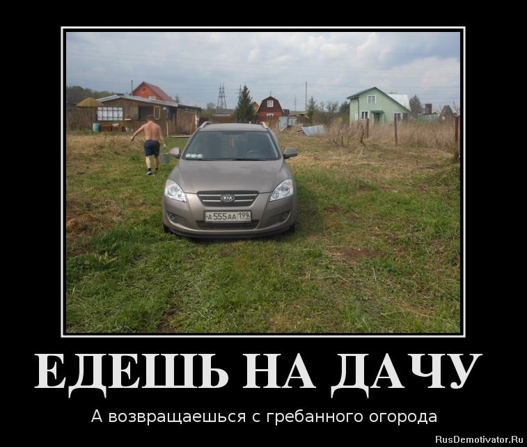 Дача приколы в картинках