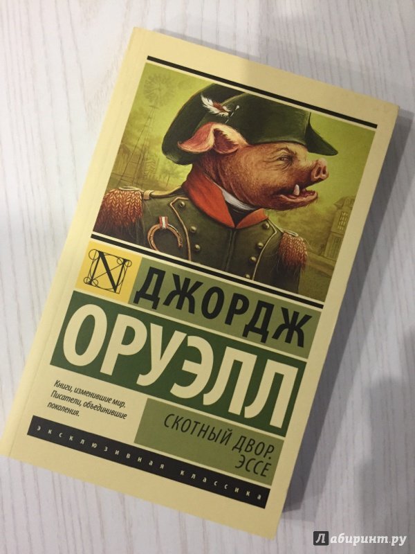 5 книг, которые обязательно стоит прочитать | Гранула саморазвития | Дзен