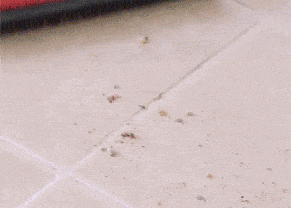 Нажмите на картинку