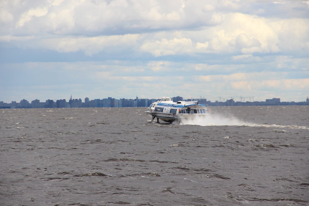 Улетел в Петербург