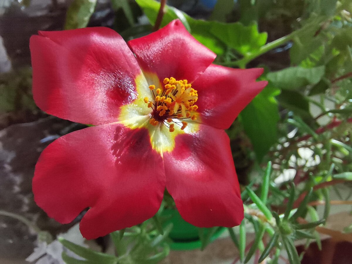 С молодым человеком мы встречались 3 года, с его бабушкой продолжаем общаться больше 15  лет