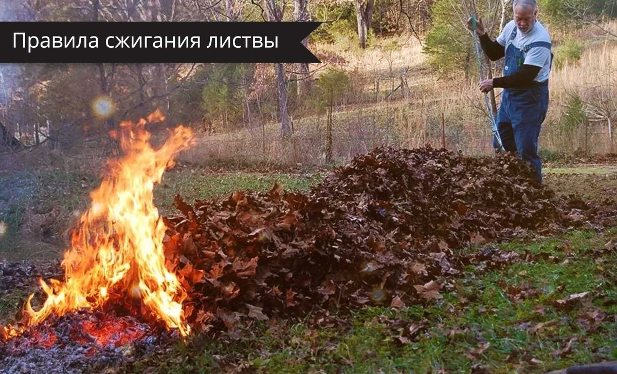 Поджег листву как пишется