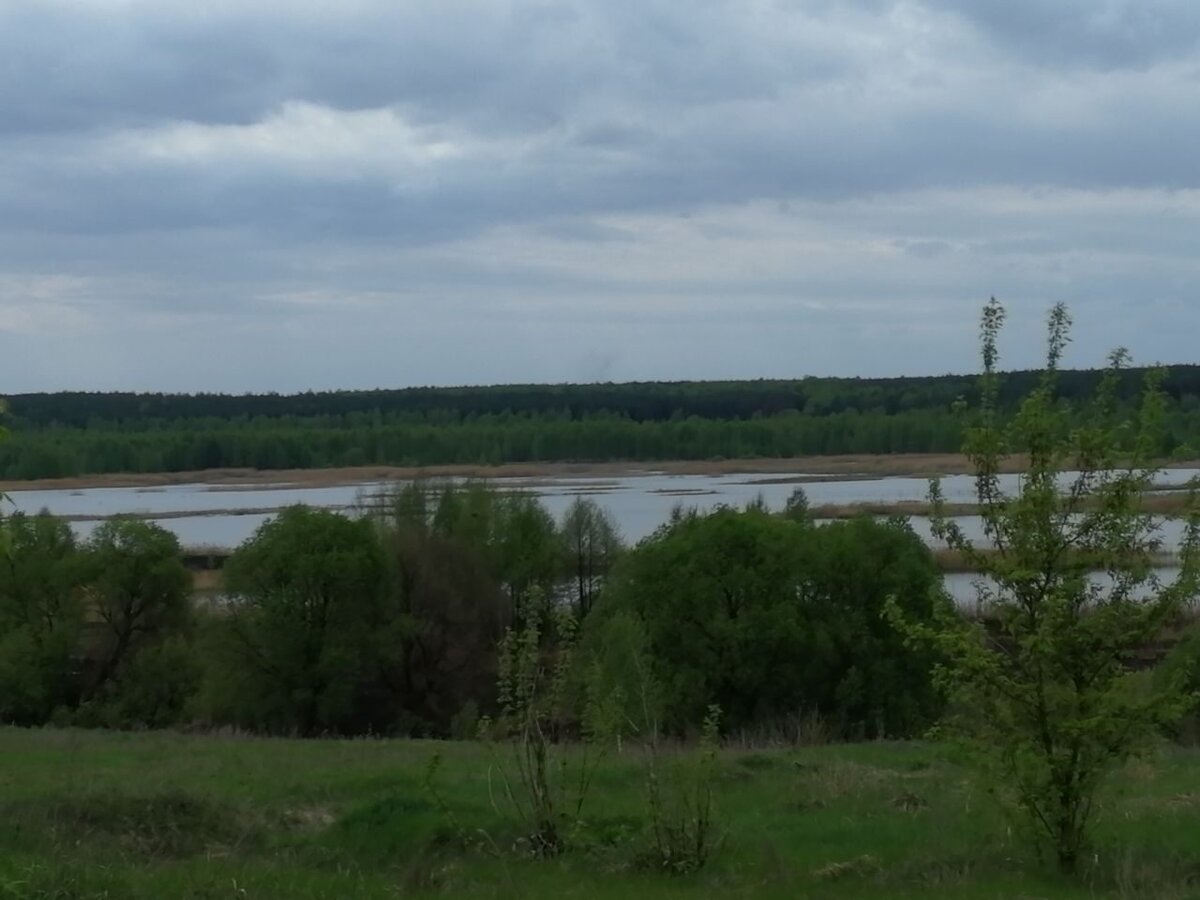 озера брянской области