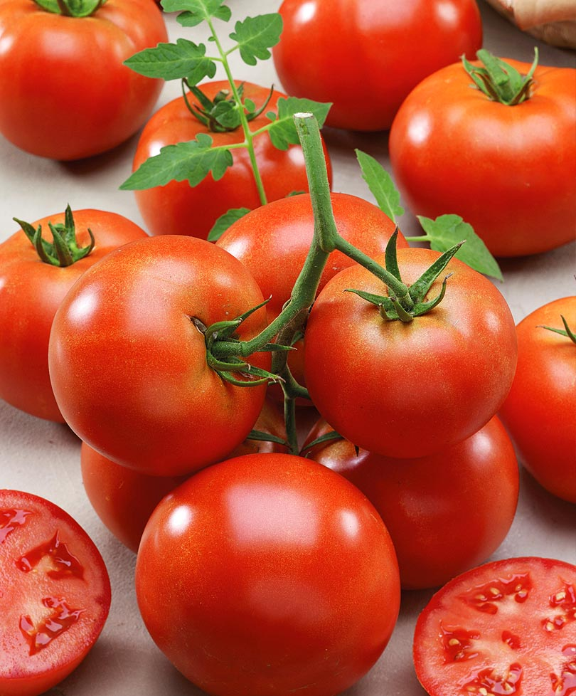 Взято из свободных источников