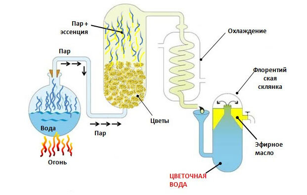 схема получения гидролата
