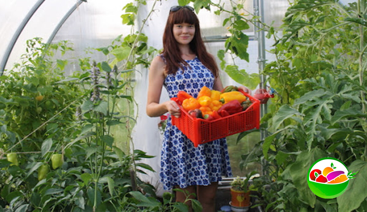 Подписывайтесь на канал и ставьте палец вверх