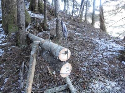 Фото взято из интернета. Аналогичная моим кулёмкам.