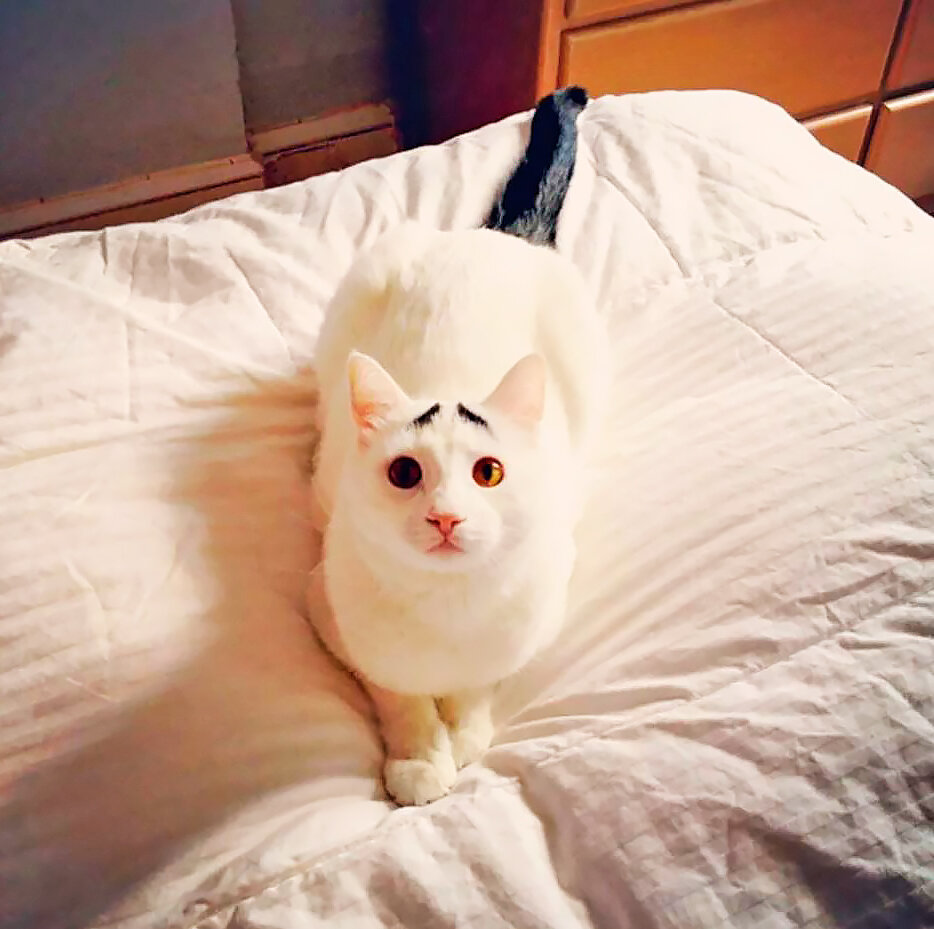 Фото из pinterest.ru