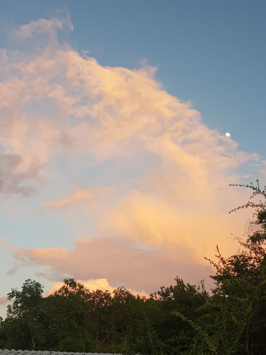 Вид с каменного патио Дачи