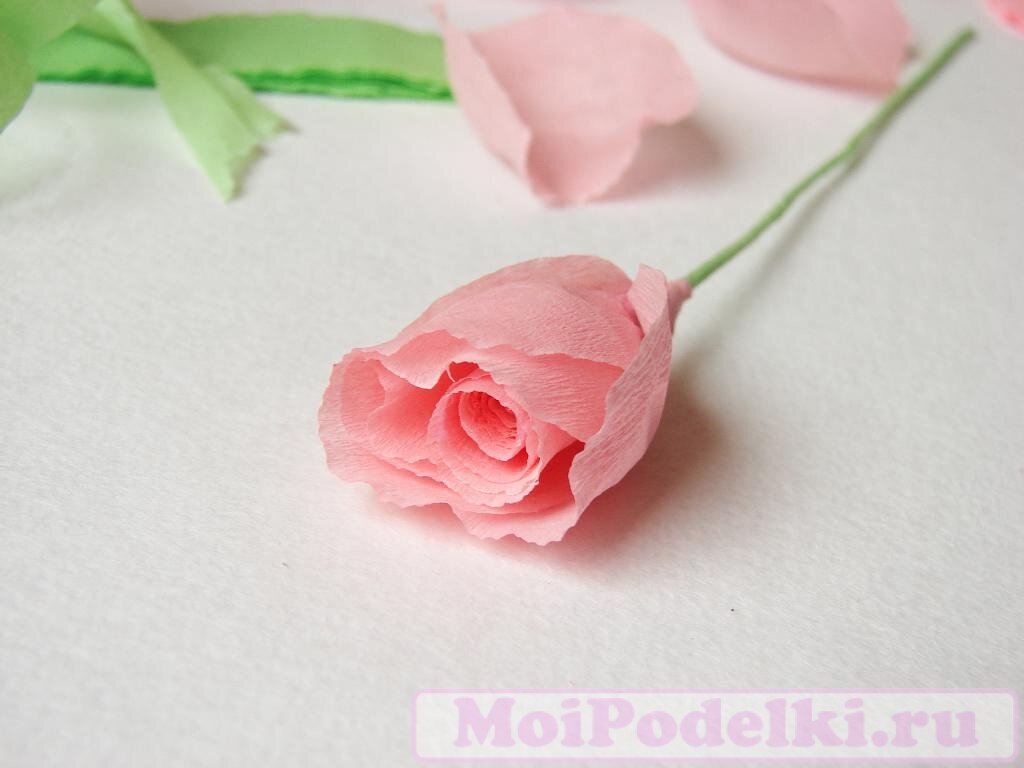 Розы из гофрированной бумаги. Фото мастер-класс