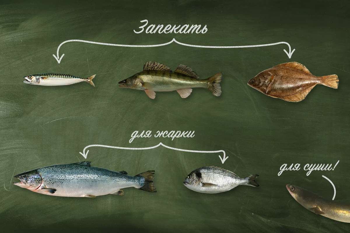 виды рыбы для готовки