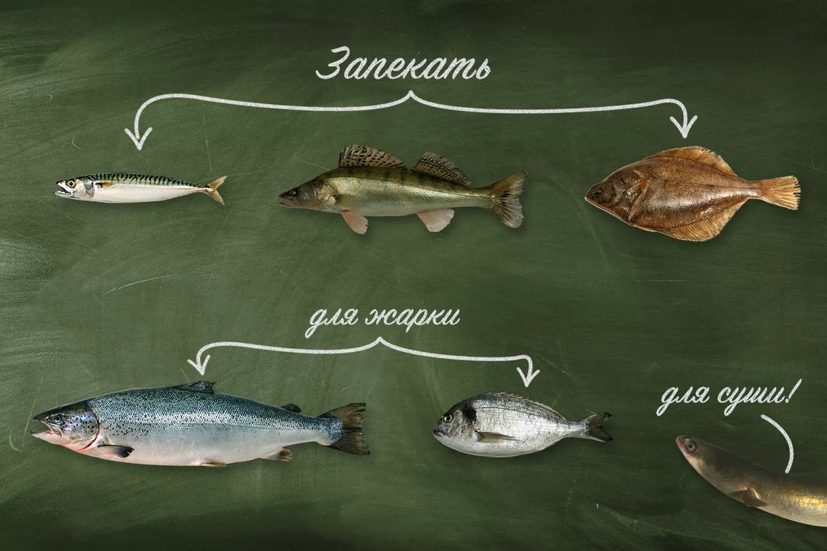 Уха рядовая из морской рыбы, пошаговый рецепт на ккал, фото, ингредиенты - Ольга