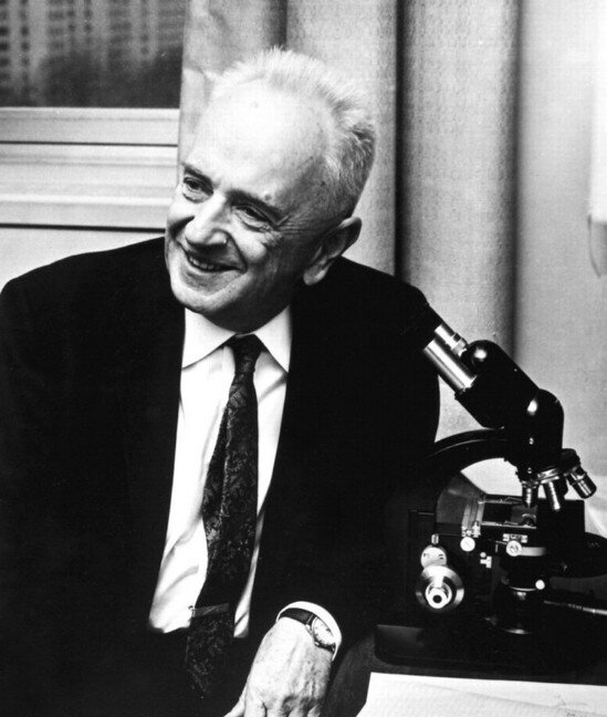 Феодосий Добржанский