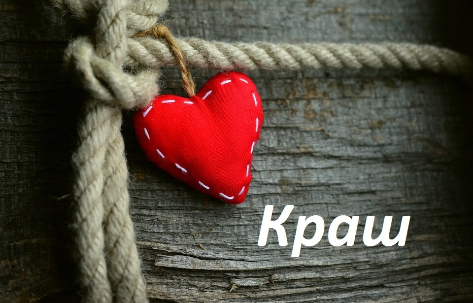 Слово появилось в сети совсем недавно