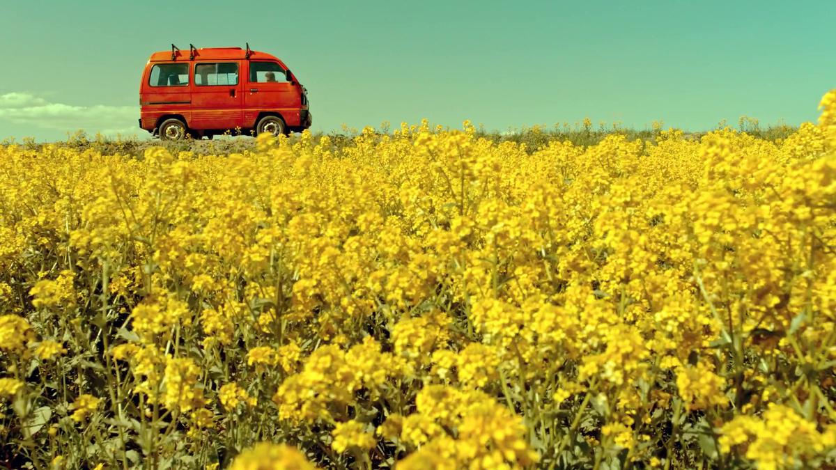 Кадр из х/ф "Как Витька Чеснок вёз Лёху Штыря в дом инвалидов"