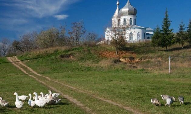 Иллюстрация из открытого доступа