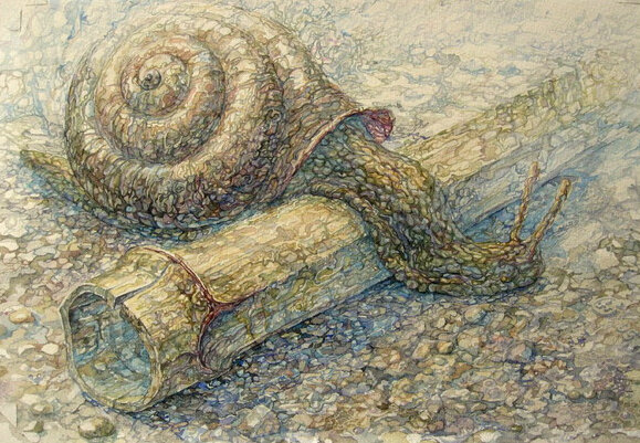 "Улитка" 1996 год акварель художник Азат Гадельшин. "Snail" 1996 watercolor artist Azat Gadelshin.