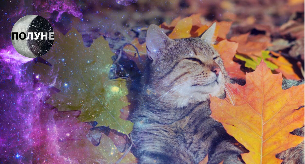 Смотрю на всё, как переживший октябрь 