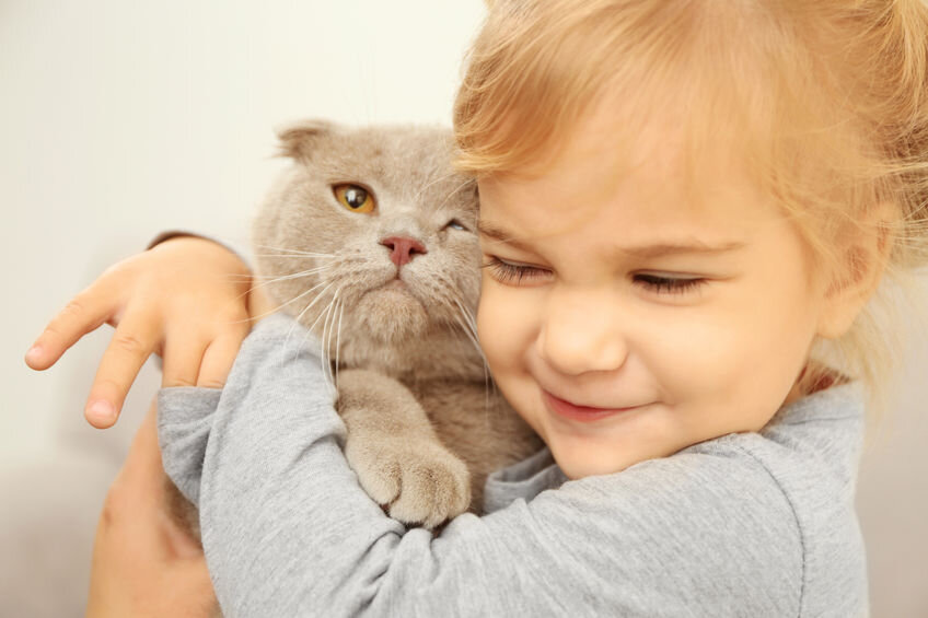 Аллергия на кошек у детей: симптомы, лечение и профилактика. | Детское  здоровье | Дзен