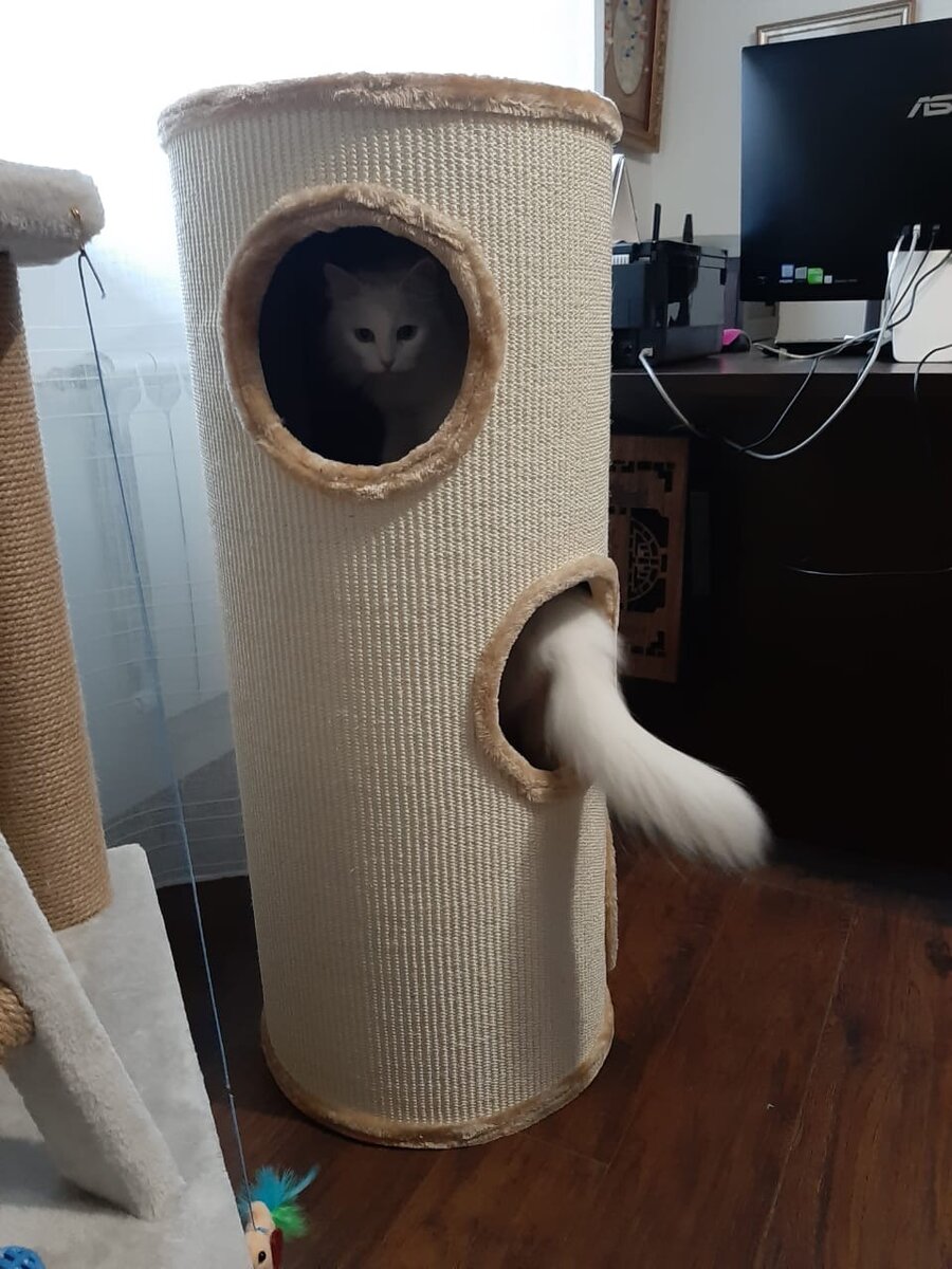 Белоснежный ручеек