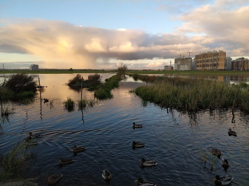 Как же странно все в этом мире