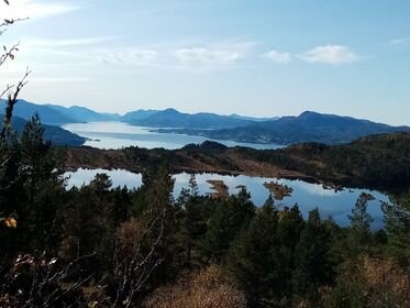 Обычный пейзаж в Норвегии