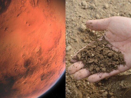 Фото - pixabay.com