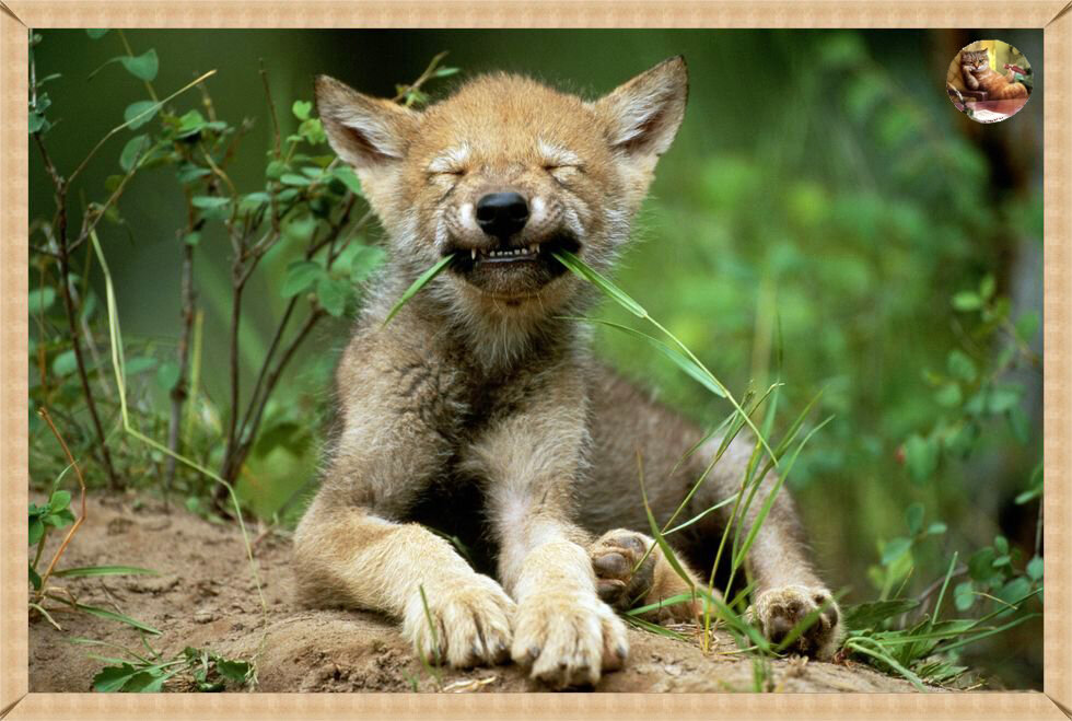 Вкусно и питательно